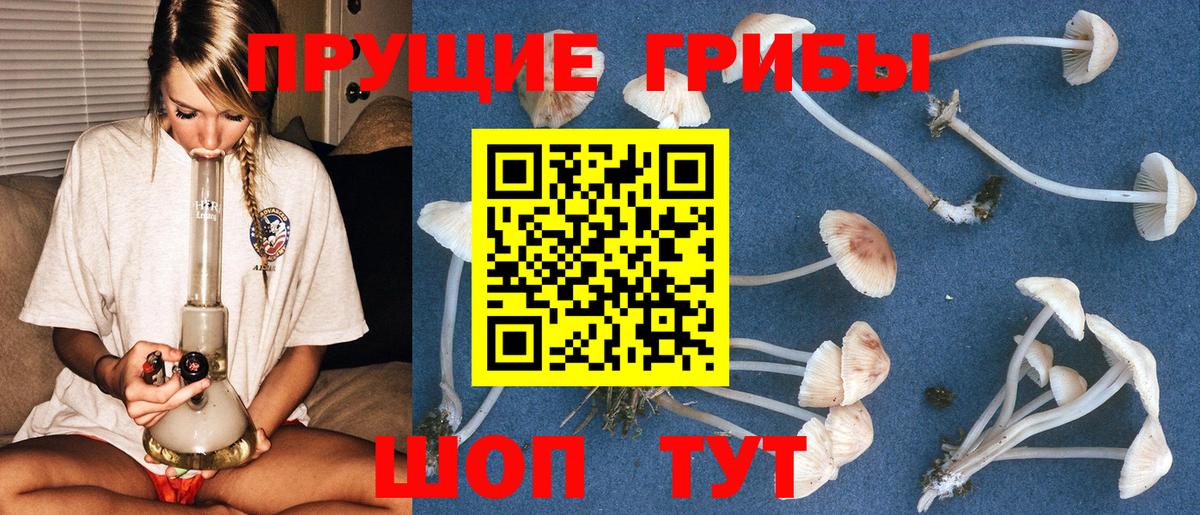 Псилоцибиновые грибы мухоморы  Вход с VPN  Михайловка 